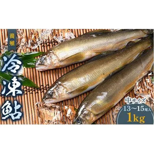 FKK19-826_養殖冷凍鮎 (中:13～15尾入×1) 1kg