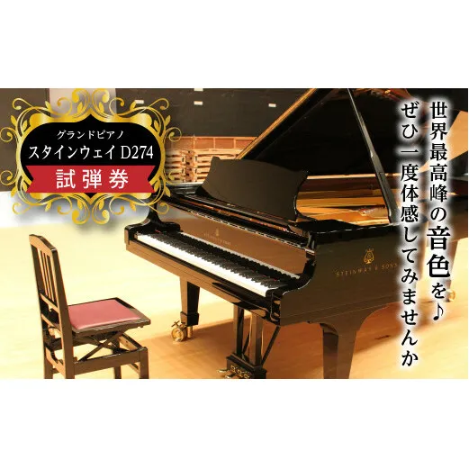 FKK19-00A_スタインウェイD274 試弾券 熊本県 嘉島町