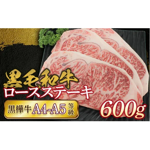 FKK19-170_黒毛和牛　黒樺牛A4～A5等級　ロースステーキ600g 熊本県 嘉島町