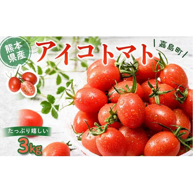 FK7-0207_ 嘉島町産アイコトマト3kg もぎたて 産地直送 産直 有機肥料 甘い フルーティー ミニトマト プチトマト リコピン 新鮮 フレッシュ サラダ 朝食 野菜 食品