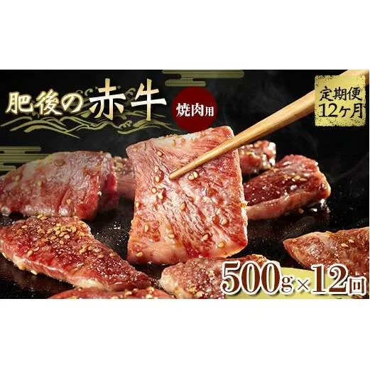 FKK19-841_【12ヵ月定期】肥後の赤牛 焼肉用 500g