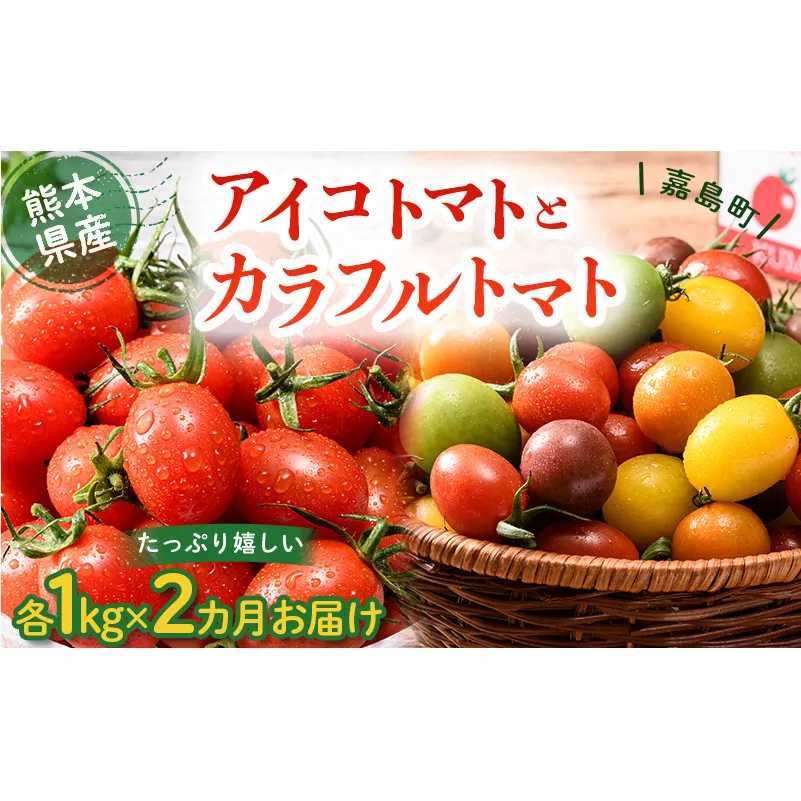 FKK19-874_【2カ月定期】アイコトマト・カラフルトマト 各1kg