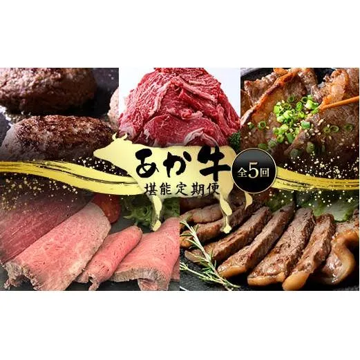 FK7-0249_あか牛堪能定期便 全5回 サーロイン ステーキ ハンバーグ 味付けカルビ ローストビーフ 切り落とし あか牛 肉 牛肉