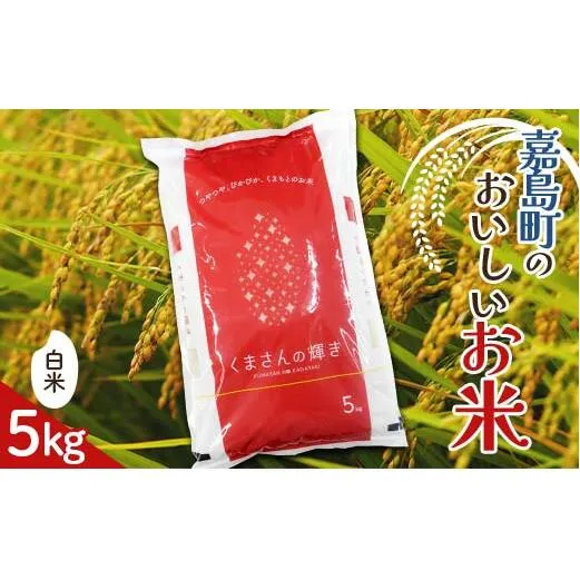 FK7-0194_ 【令和7年度産】【先行予約】嘉島町のおいしいお米（くまさんの輝き/白米） 5kg