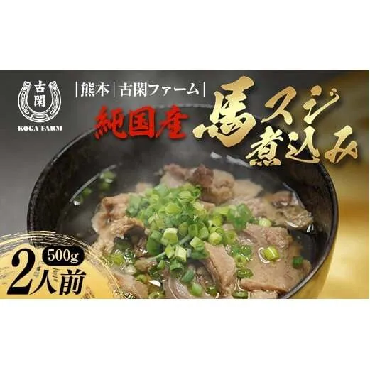 FK7-0220_純国産馬 馬スジ煮込み （味付き/2人前） 肉 馬肉 馬スジ 熊本県 熊本 嘉島