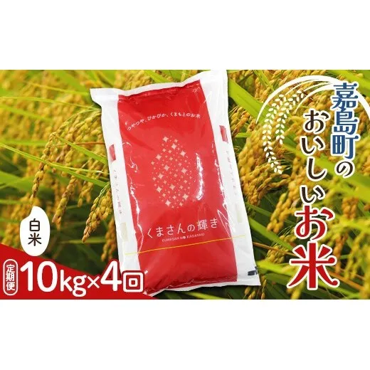 FK7-0273_【4カ月定期】【嘉島町産】くまさんの輝き 10kg 米 お米 コメ ごはん ご飯 食品 九州 熊本県 熊本 嘉島