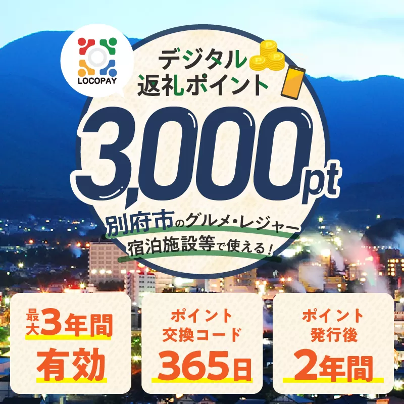 LOCOPAYデジタル返礼ポイント【3,000ポイント】