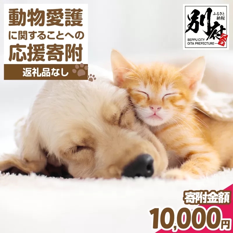 【返礼品なし】動物愛護に関することへの応援寄附(10,000円)