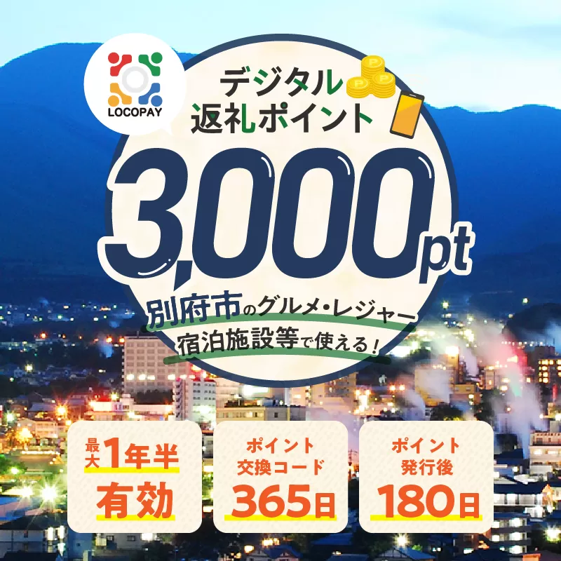 LOCOPAYデジタル返礼ポイント【3,000ポイント】