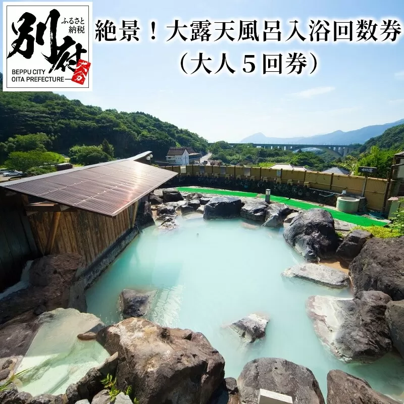 【効能たくさん！白濁の硫黄泉】絶景！大露天風呂入浴回数券（大人５回券）
