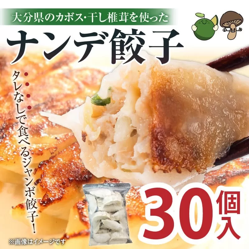 ナンデ餃子（30個入）