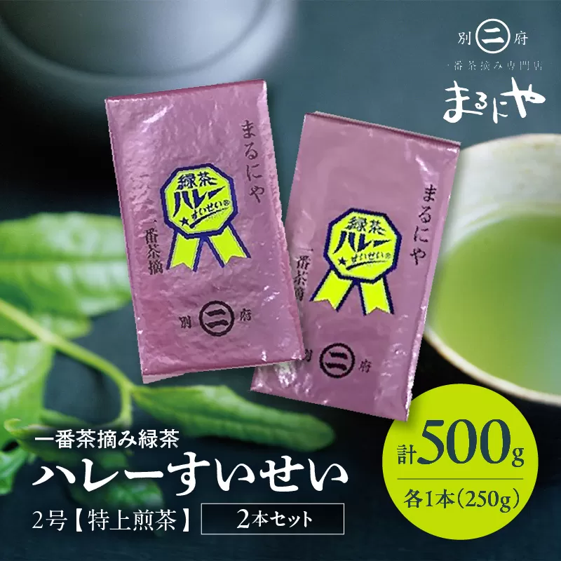一番茶摘み緑茶ハレーすいせい2号(特上煎茶)250g 2本セット