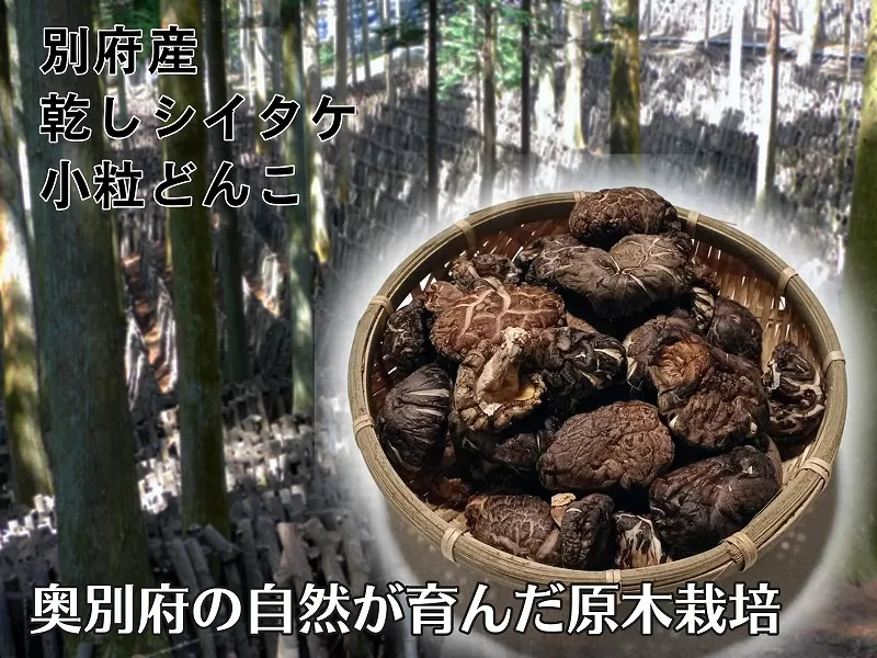 別府産乾しシイタケ 小粒どんこ　200g箱入り
