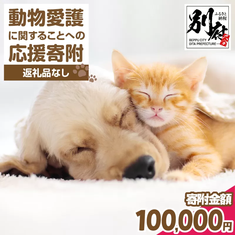 【返礼品なし】動物愛護に関することへの応援寄附(100,000円)_B001-070