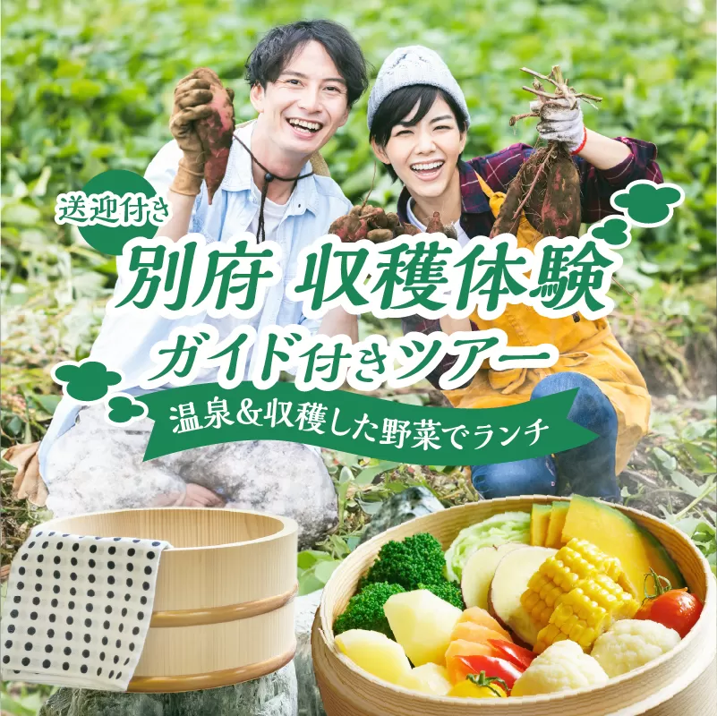 別府 収穫体験ガイド付きツアー(送迎付き)