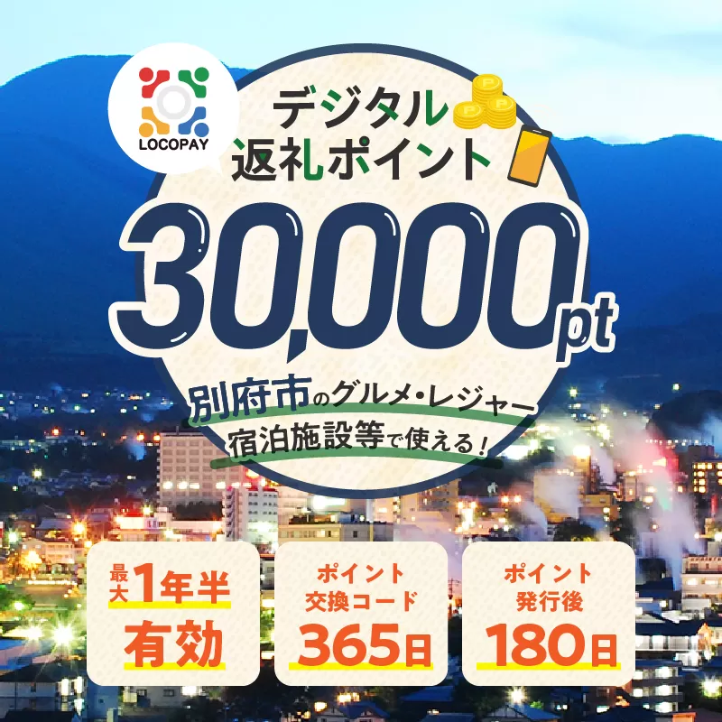 LOCOPAYデジタル返礼ポイント【30,000ポイント】