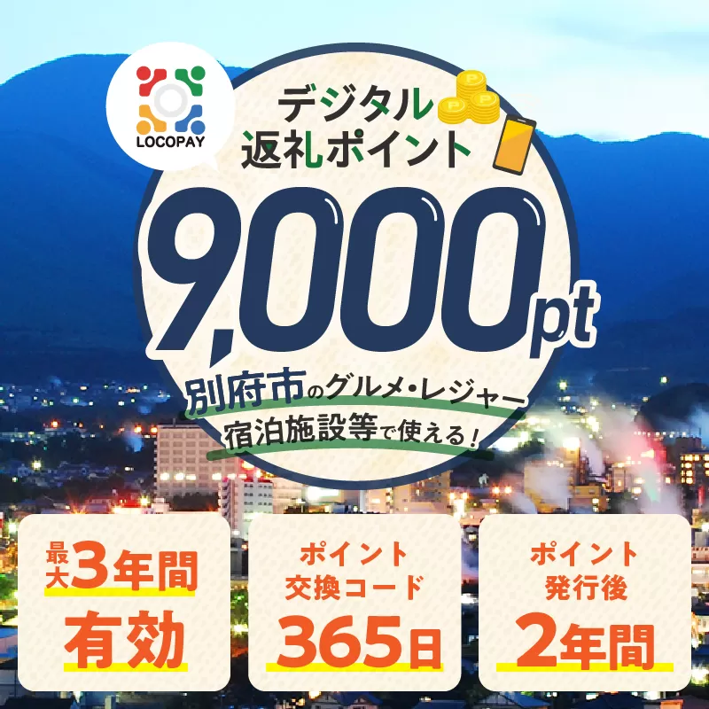 LOCOPAYデジタル返礼ポイント【9,000ポイント】
