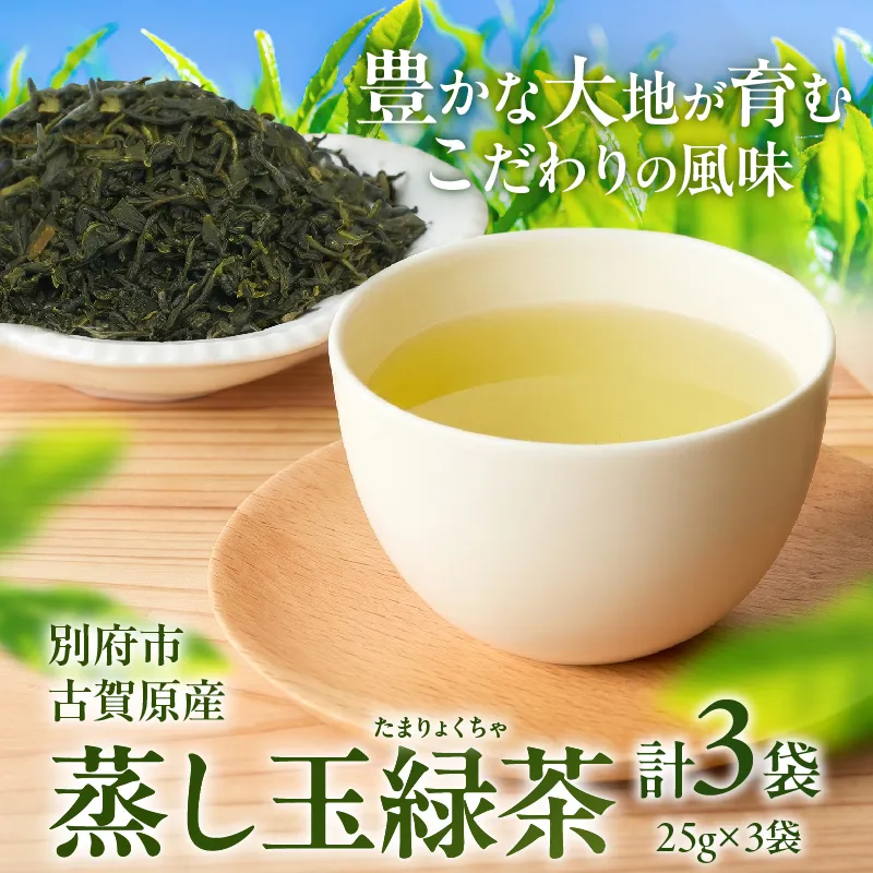 【別府市古賀原産】蒸し玉緑茶(スタンダード)3袋