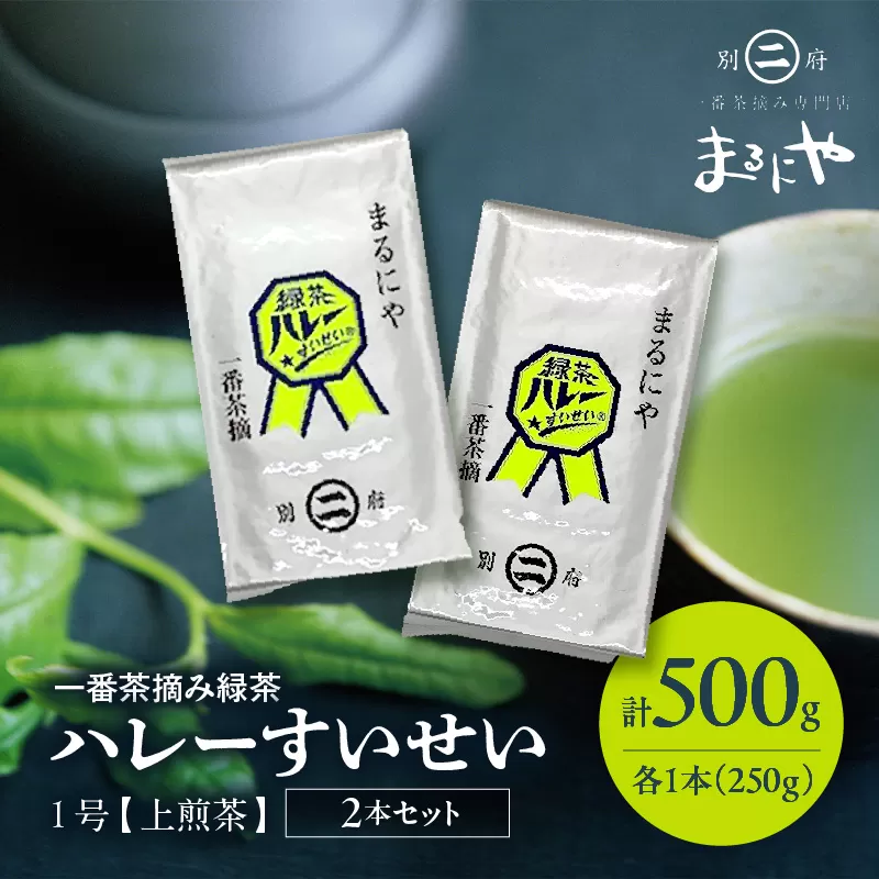 一番茶摘み緑茶ハレーすいせい1号(上煎茶)250g　2本セット