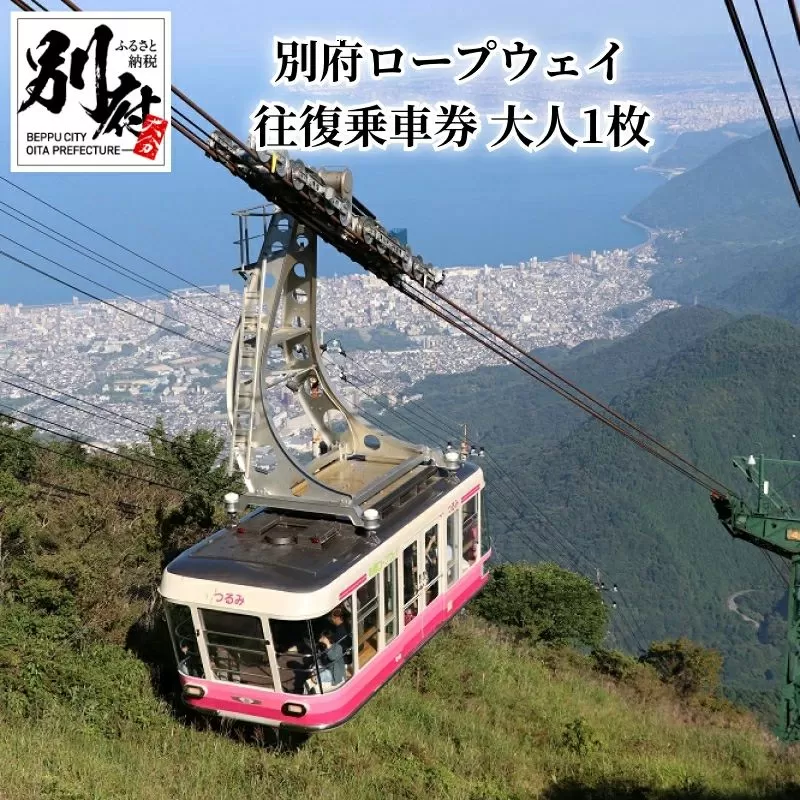 別府ロープウェイ　往復乗車券　大人　1枚