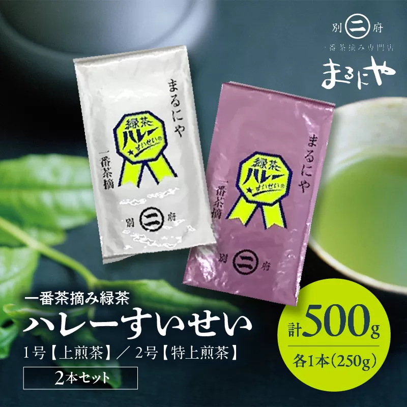 一番茶摘み緑茶ハレーすいせい1号(上煎茶)250g・2号(特上煎茶)250g 2本セット