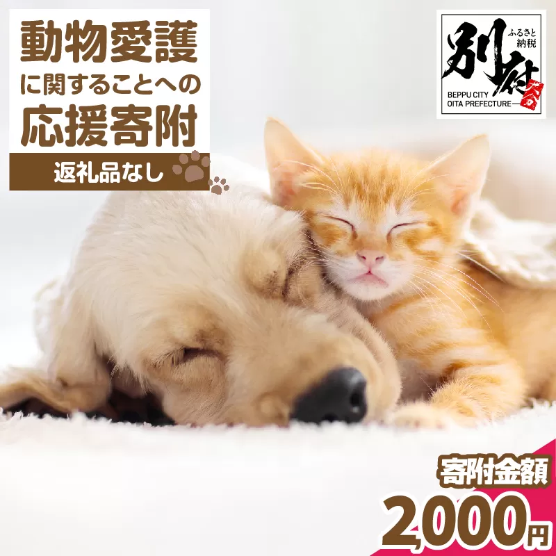 【返礼品なし】動物愛護に関することへの応援寄附(2,000円)