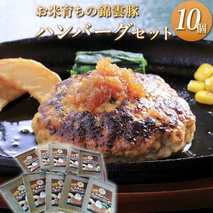 錦雲豚ハンバーグ 10個セット （100g×10個） | 惣菜 おかず 弁当 豚肉 国産 九州産 大分県産 ブランド豚 豚 錦雲豚 冷凍 小分け 送料無料