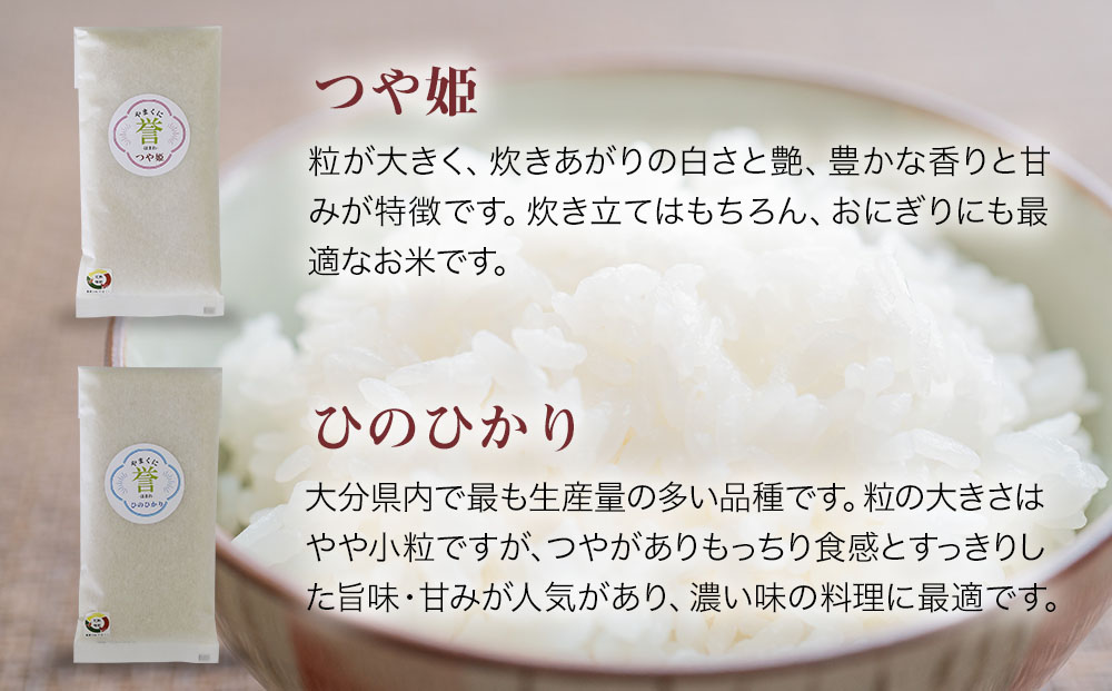 Amazon.co.jp: 神明 【精米】佐賀県産 白米 ひのひかり 5kg 令和