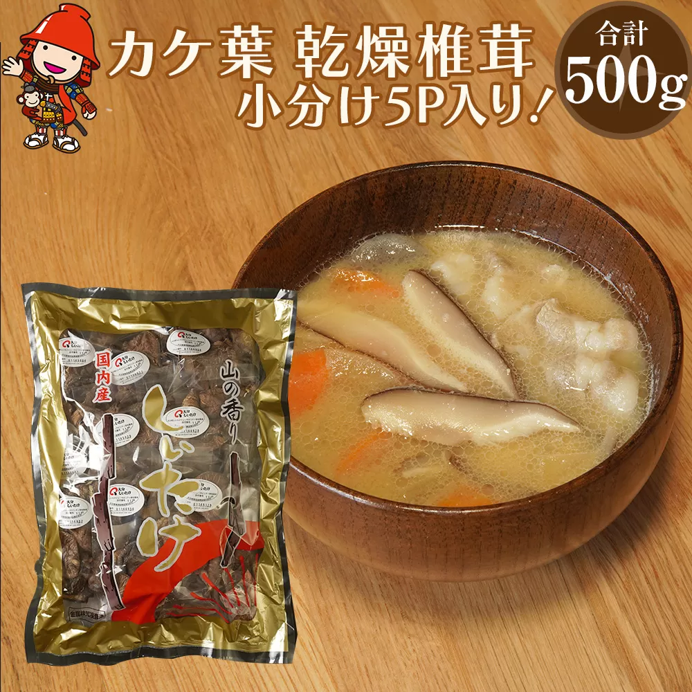 乾燥椎茸 カケ葉 椎茸 100g×5パック | 乾しいたけ 干し椎茸 干ししいたけ 乾燥しいたけ 干しシイタケ 原木 大分県産 九州産 中津市 国産 送料無料