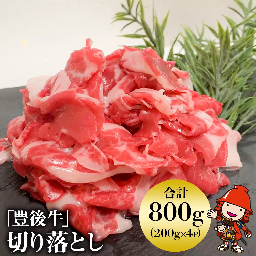 豊後牛 切り落とし 200g×4 (合計800g) | お肉 肉 おにく にく 牛 牛肉 和牛 国産牛 切り落し ブランド牛 ミートクレスト 大分県産 九州産 国産 冷凍 大分県 中津市