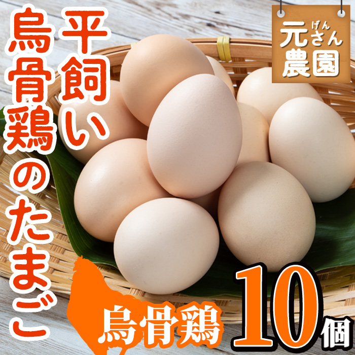 高評価レビュー 200個入り 佐伯養鶏(旧:宮下養鶏)の朝採れ平飼い卵 （平飼い烏骨 その他