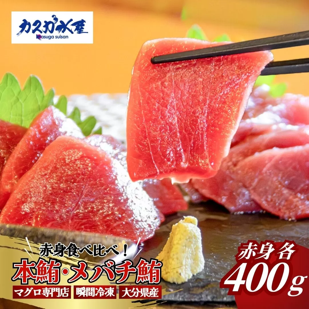 【本マグロ・メバチまぐろ / マグロ食べ比べ】まぐろ赤身食べ比べセット (各400g／計800g) | 本まぐろ マグロ まぐろ冊 マグロ刺身 まぐろ食べ比べ メバチマグロ まぐろ丼 マグロ刺身 あかみ 本鮪 赤身 食べ比べ 海鮮丼 津久見市 【tsu0003028】