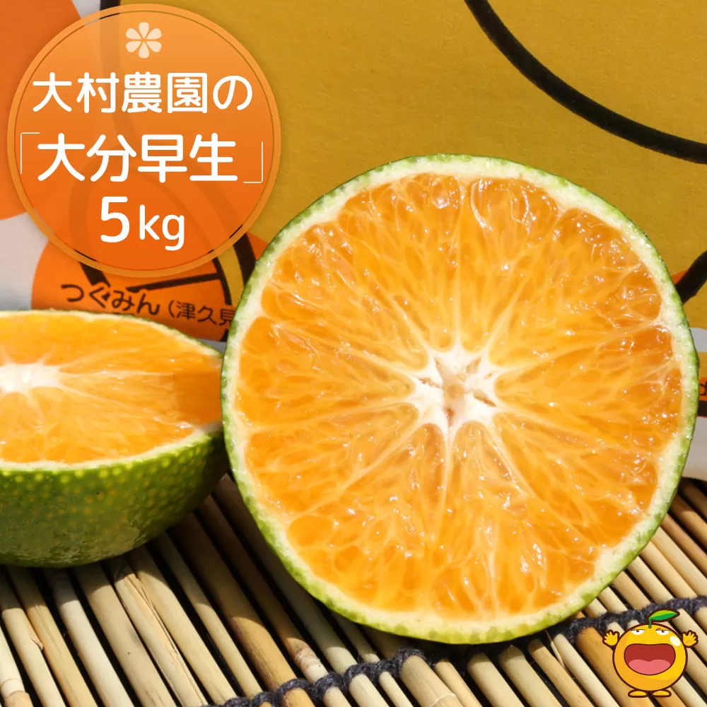 大村農園の極早生みかん おおいた早生 5kg おおいた早生 みかん ミカン オレンジ 柑橘類 果物 フルーツ 大分県産 九州産 津久見市 国産【tsu003106】