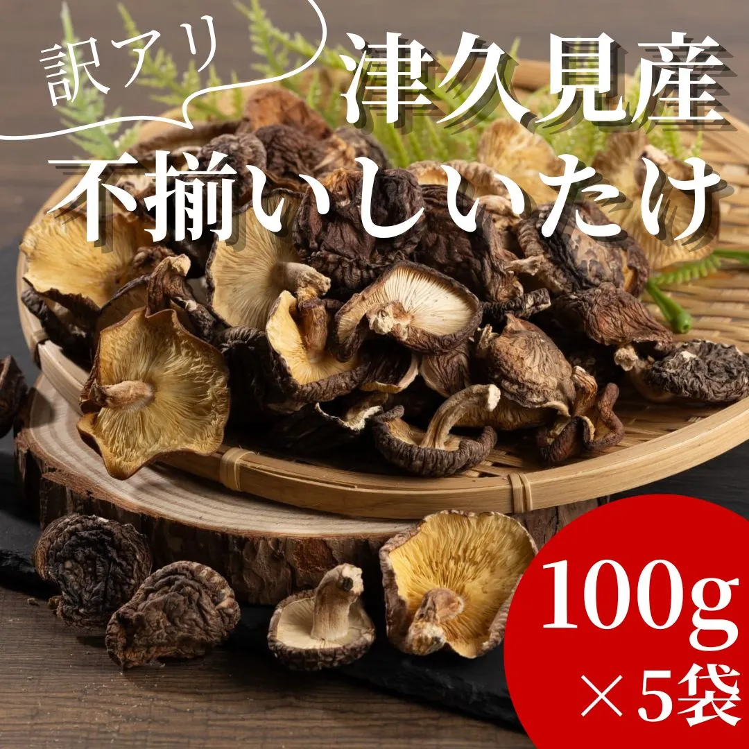 [訳あり] 津久見産不揃いしいたけ 100g×5袋 | 国産 大分県 津久見市 九州 送料無料 小分け