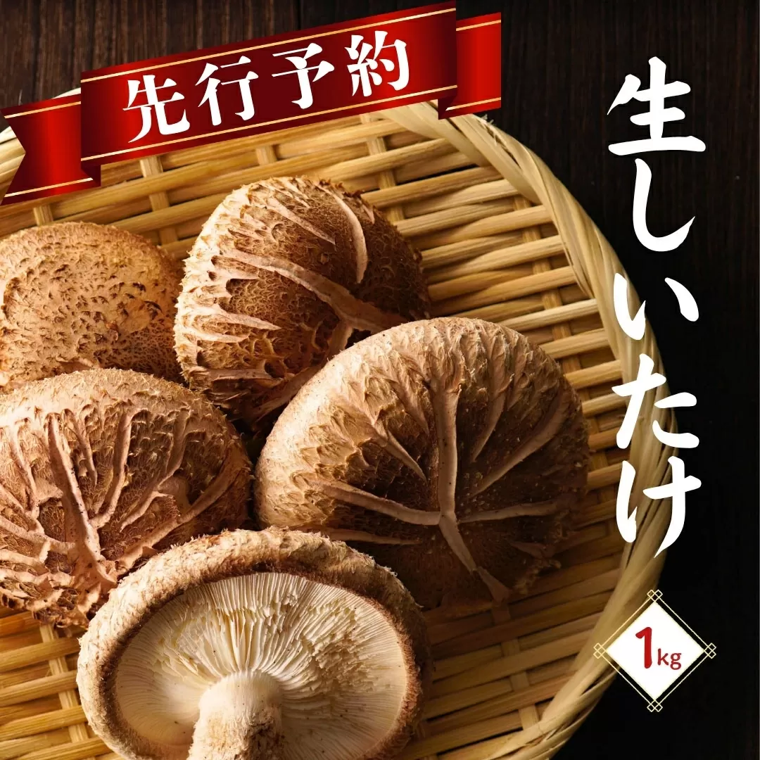 【先行予約・大分県産 生しいたけ】椎茸 大分県産 しいたけ 津久見で育てた肉厚 生しいたけ 1㎏ | しいたけ 干し椎茸 しいたけステーキ 干椎茸 菌床しいたけ きのこ ギフト 国産 産地直送 津久見市 【tsu005426】