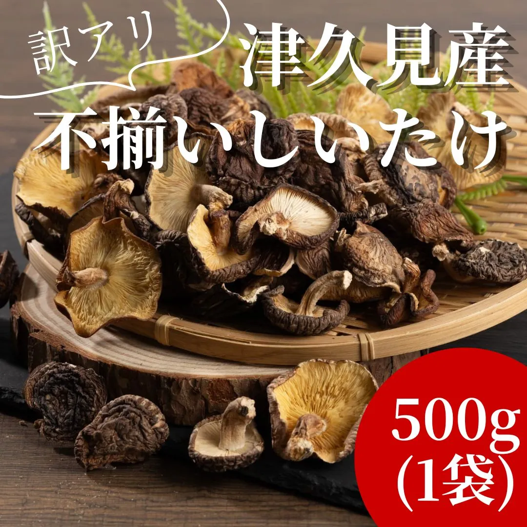 [訳あり] 津久見産不揃いしいたけ 500g | 国産 大分県 津久見市 九州 送料無料 大容量