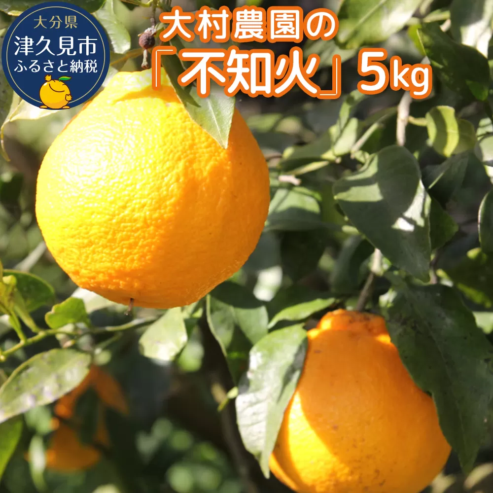 【先行予約】大村農園のみかん 不知火 5kg ミカン 蜜柑 オレンジ 果実 旬のフルーツ 大分県産 九州産 津久見市 国産【tsu003102】