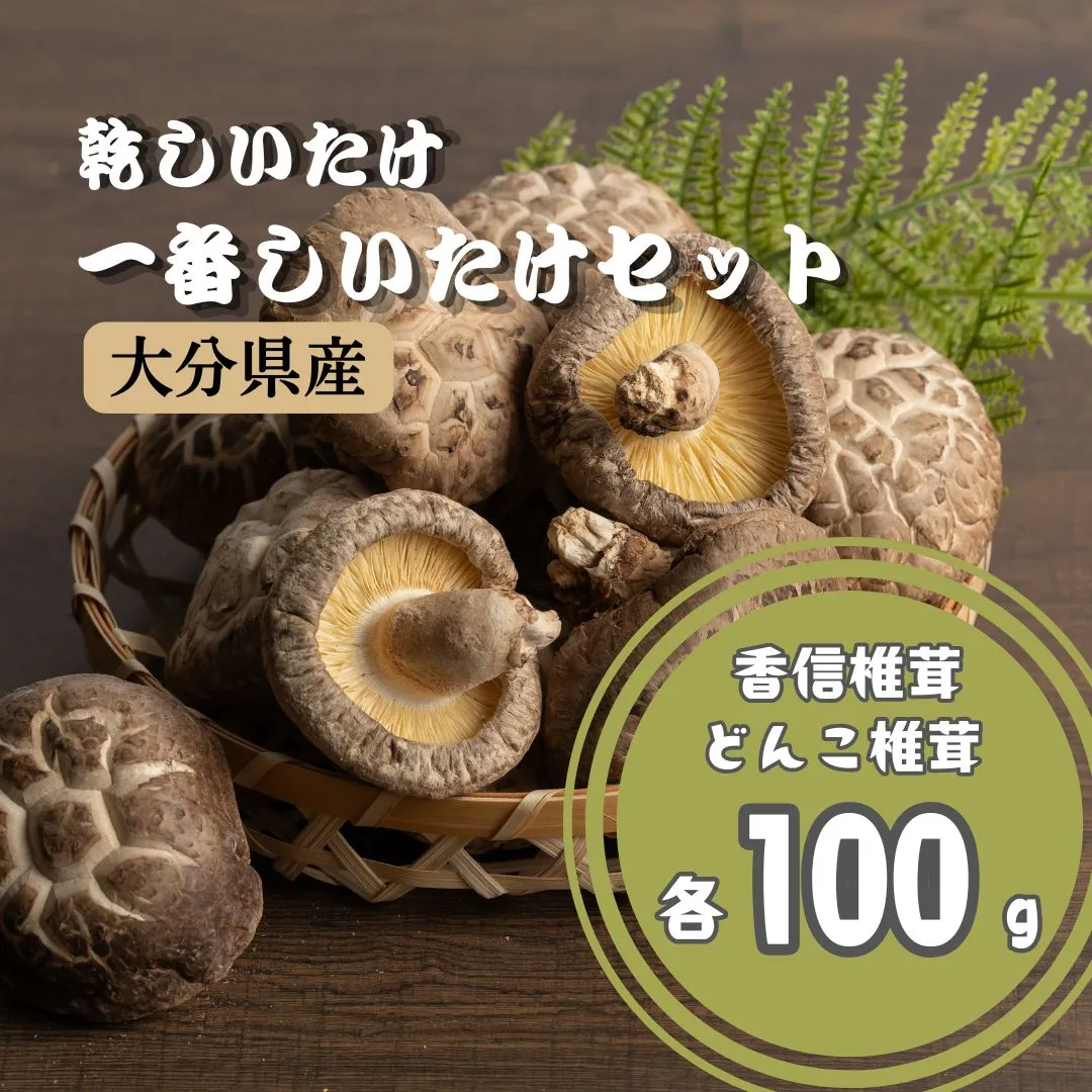 乾しいたけ 一番しいたけセット | きのこ しいたけ 椎茸 シイタケ セット 大分県産 九州 津久見市 国産 干し椎茸 どんこ椎茸 こうしん椎茸 縁起物 送料無料