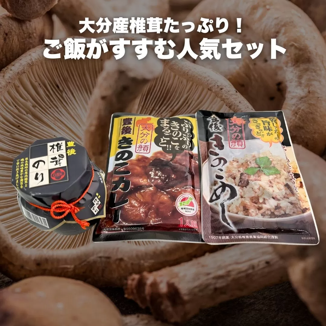 【レトルトカレー】豊後きのこのレトルトカレー＋豊後きのこめし＋椎茸海苔160g | レトルトカレー レトルト カレー れとるとかれー きのこカレー レトルトのカレー 津久見市 【tsu004607】