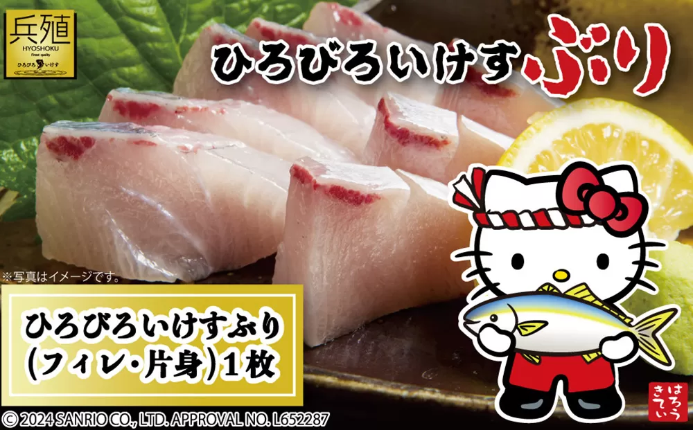 【先行予約 12月発送】ひろびろいけす ぶり (フィレ・片身) 1枚 | ぶり 鰤 ブリ 刺し身 刺身 大分県産 九州産 津久見市 国産【tsu001113】