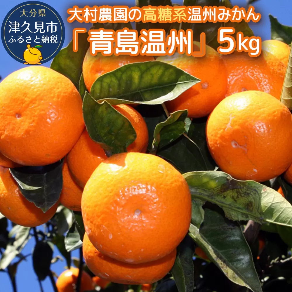 【先行予約】大村農園の温州みかん 青島温州 5kg みかん ミカン 蜜柑 オレンジ 旬のフルーツ 果実 大分県産 九州産 津久見市 国産【tsu003101】