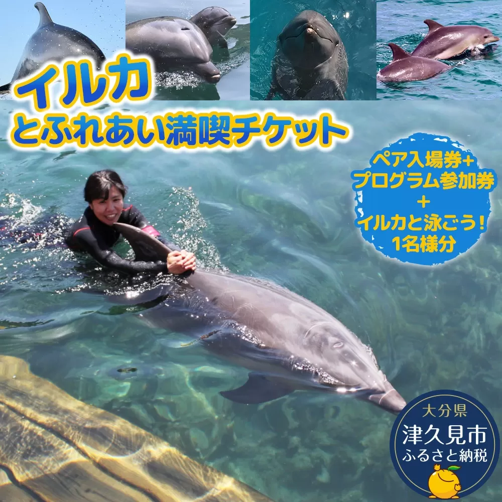 【つくみイルカ島 / お土産付】市長が案内する「つくみイルカ島」体験チケット ペア入場券 | イルカ体験 イルカ島 いるか 体験チケット 体験ちけっと たいけんチケット 大分県 九州 津久見市 【tsu001205】