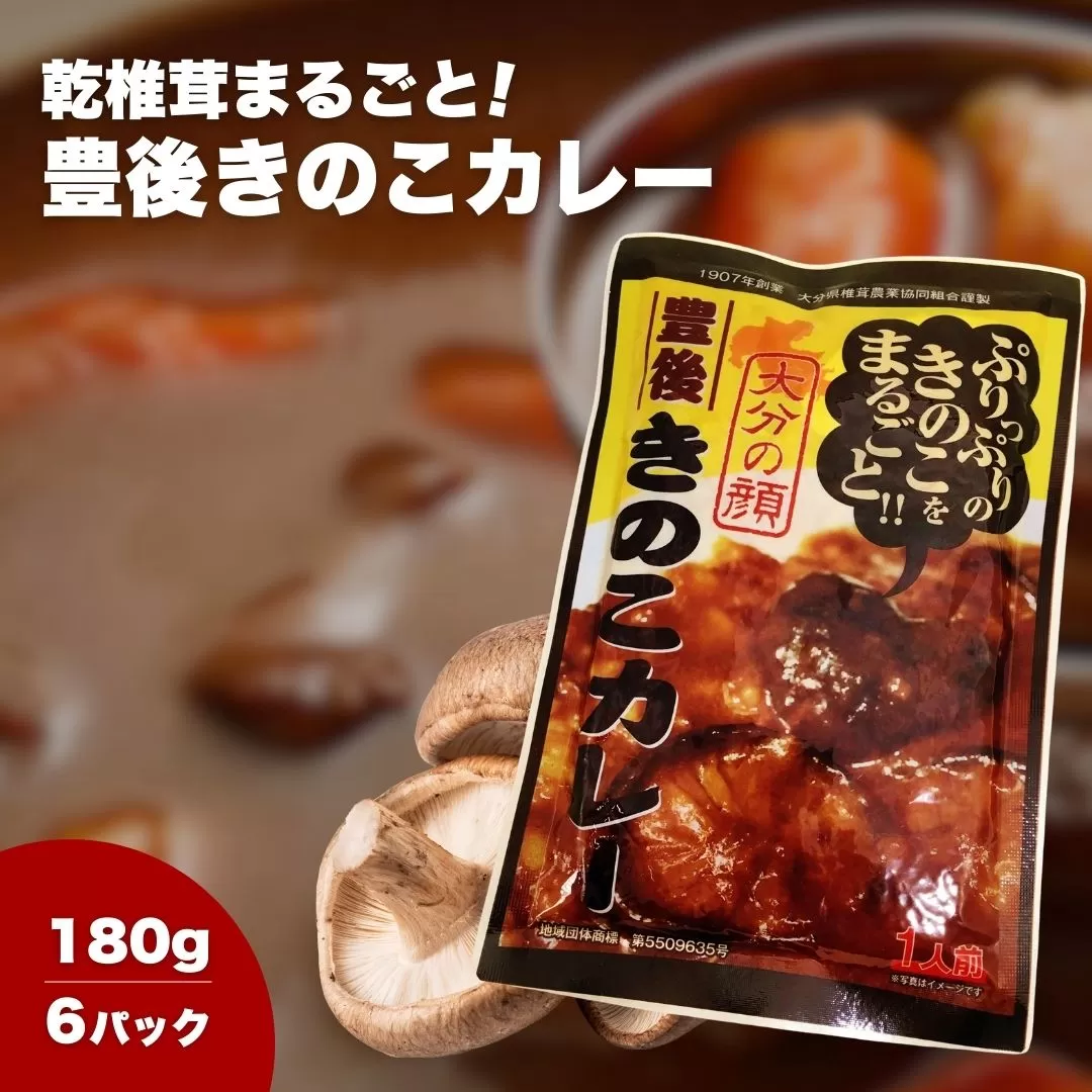【レトルトカレー】豊後きのこのレトルトカレー 180g✕6食 | レトルト カレー れとるとかれー カレールー カレーレトルトライス カレー食 うまカレー 御当地カレー 津久見市 【tsu004605】