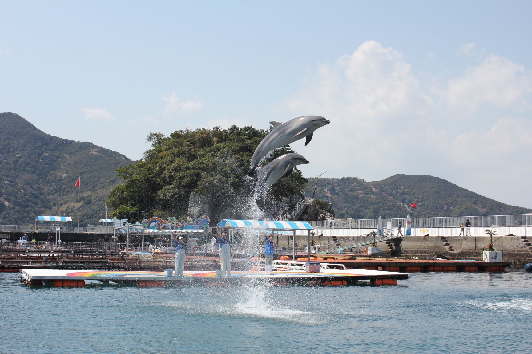 うみたま体験パーク　つくみイルカ島