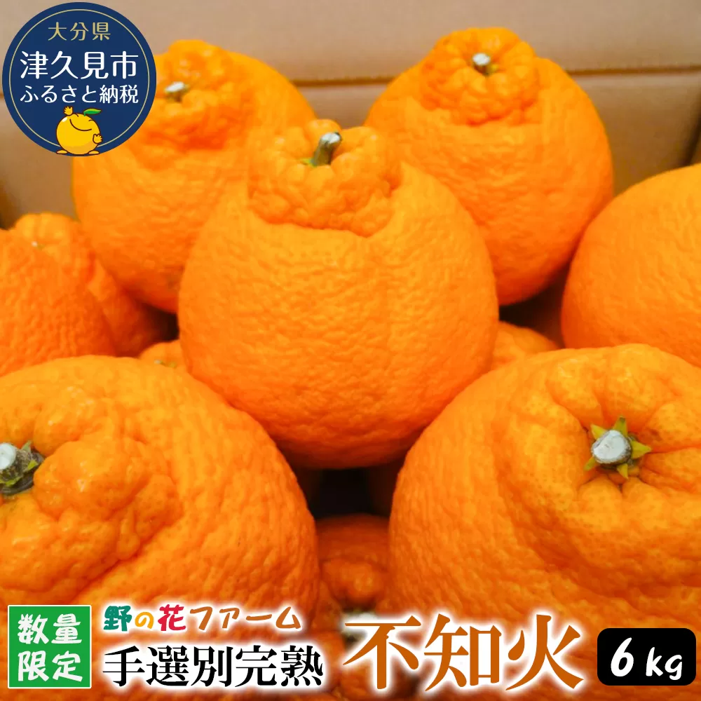 【先行予約・数量限定】野の花ファーム 不知火 6kg 手選別完熟 | みかん ミカン オレンジ フルーツ 柑橘類 大分県産 九州産 津久見市 国産【tsu002803】