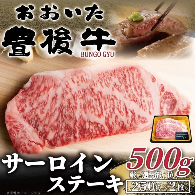おおいた豊後牛サーロインステーキセット 500g(250g×2枚)