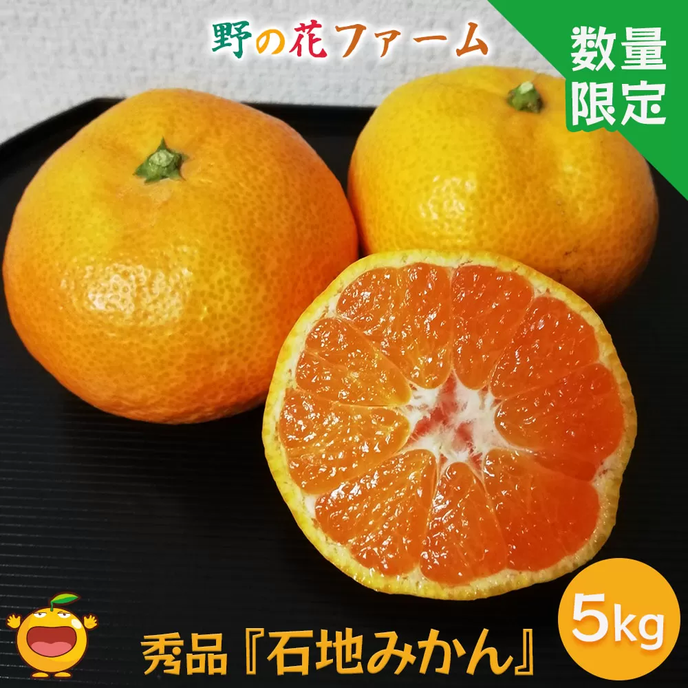 【先行予約】野の花ファーム 秀品 石地みかん 5kg ミカン オレンジ 蜜柑 フルーツ 旬 果物 くだもの 大分県産 九州産 津久見市