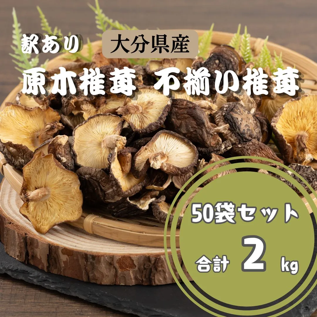【訳あり】 原木椎茸 不揃い椎茸 50袋セット | 椎茸 しいたけ シイタケ きのこ キノコ 不揃い 乾燥しいたけ お料理 小分け プレゼント 袋詰め 九州 大分県 津久見市 送料無料
