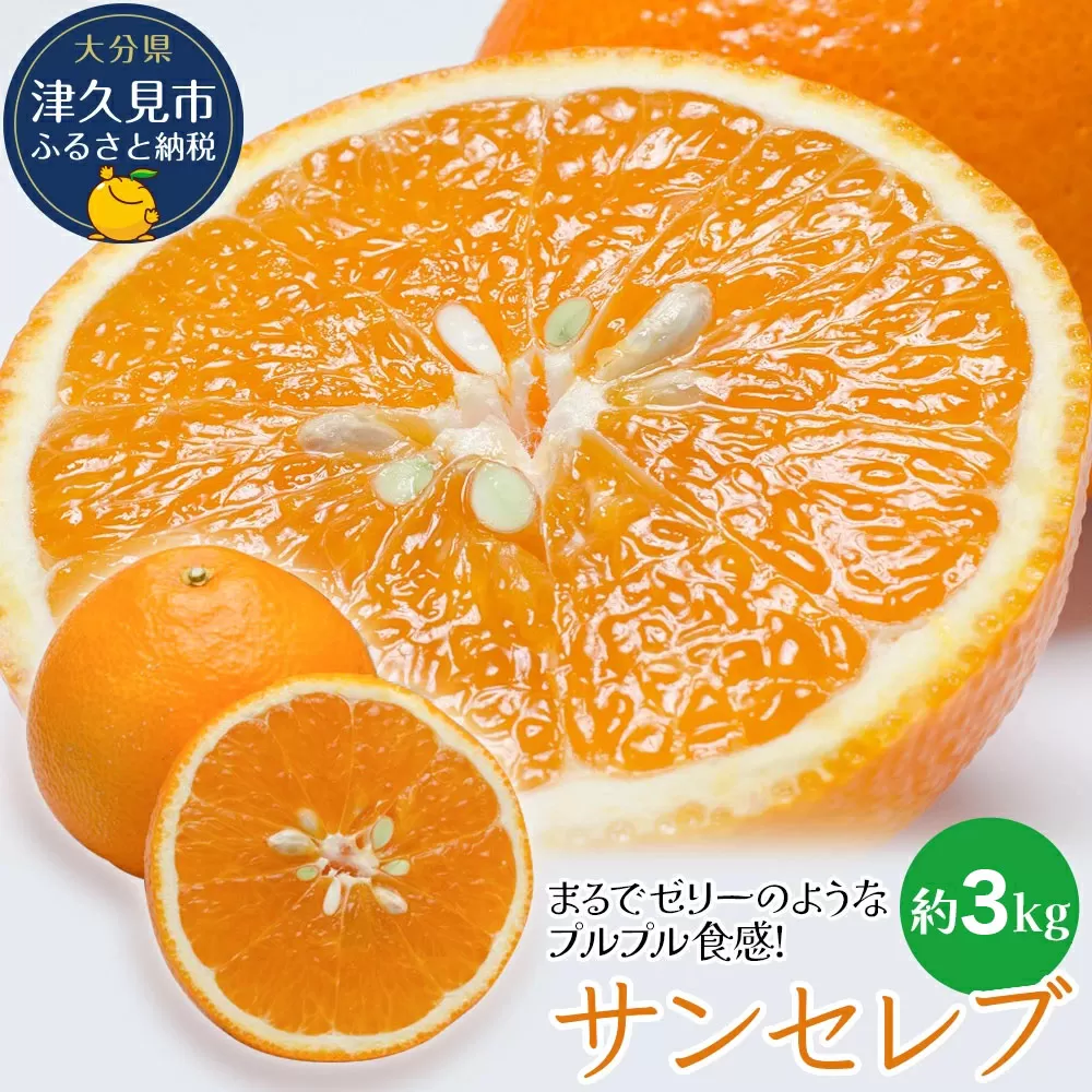 まるでゼリーのようなプルプル食感!サンセレブ約3kg(化粧箱) ミカン みかん オレンジ 柑橘 大分県産 九州産 津久見市 国産【tsu000602】
