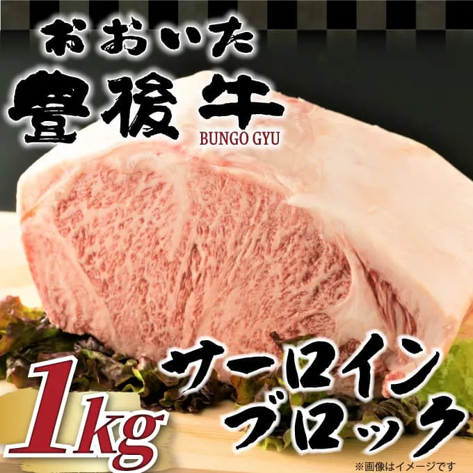 【厳選部位】おおいた豊後牛サーロインブロック 1kg